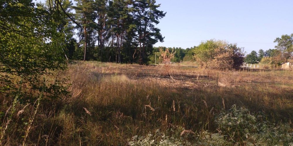 Земельна ділянка з будинком