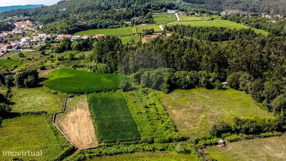 Terreno  para venda