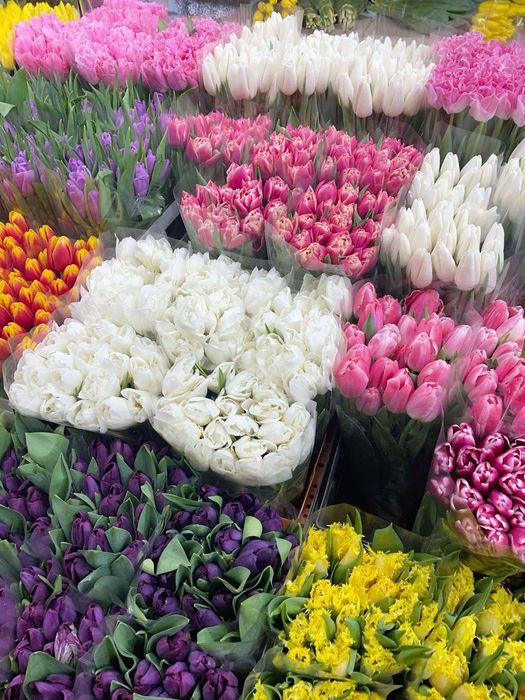 Опт тюльпани до 8 березня