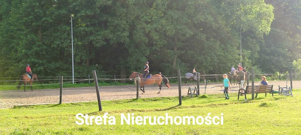 Mieszkanie – Stanowice - Widok 2