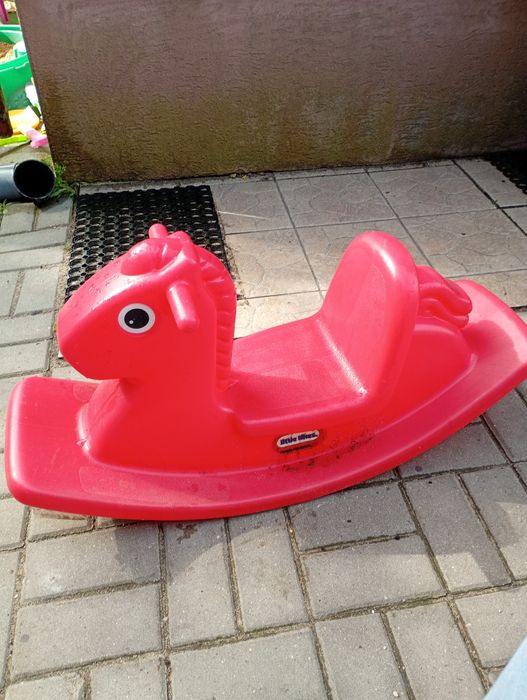 Bujak little takes konik