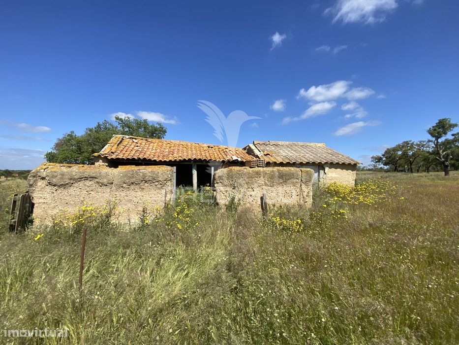 Herdade com ruína para reconstruir