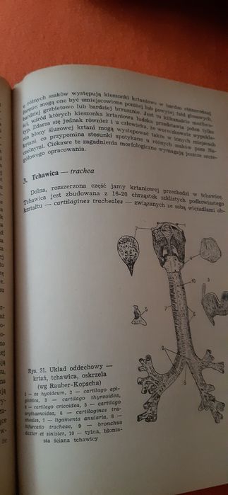 Zarys Anatomii Funkconalnej Człowieka  dla studentów biologii