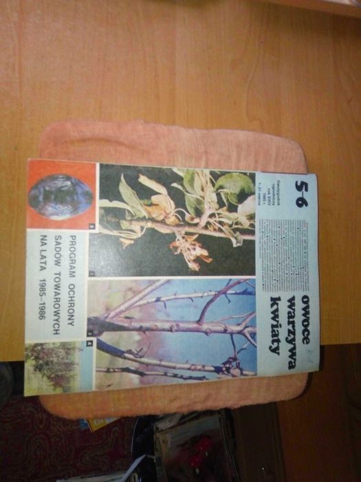 Owoce warzywa kwiaty dwutygodnik 5-6 1985 ogrodniczy gazeta czasopismo