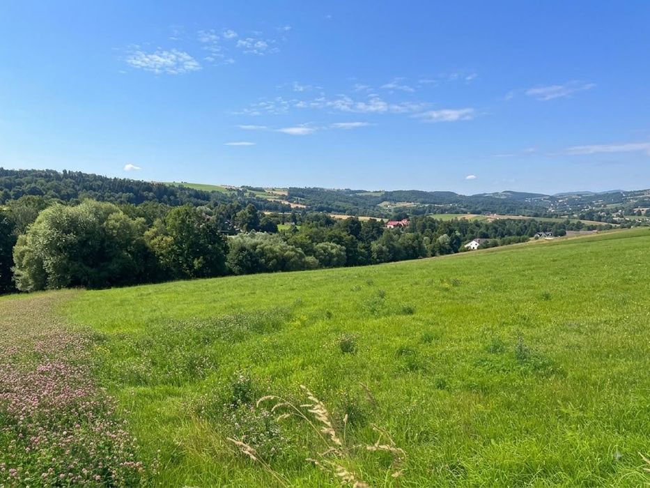 widokowa działka budowlana