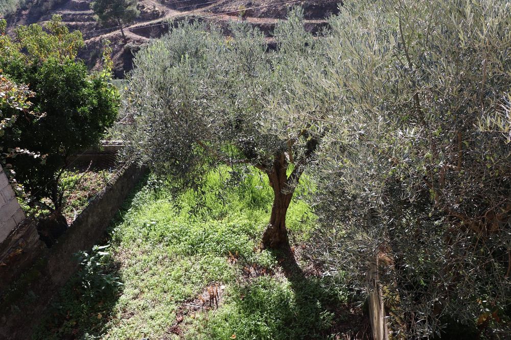 Vendo casa em aldeia tranquila