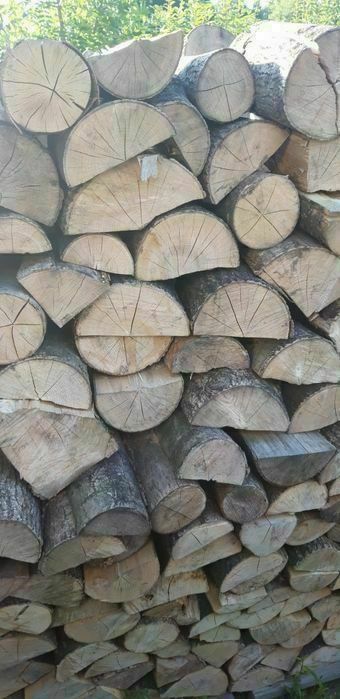 Drewno kominkowe Tychy