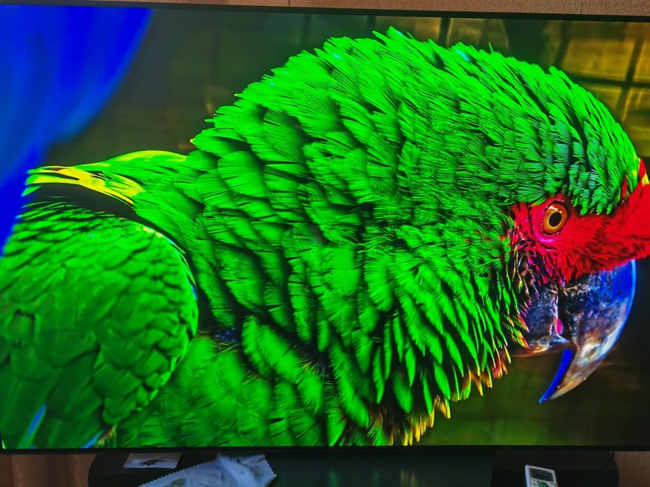 Телевизор LG OLED 65 B13LA