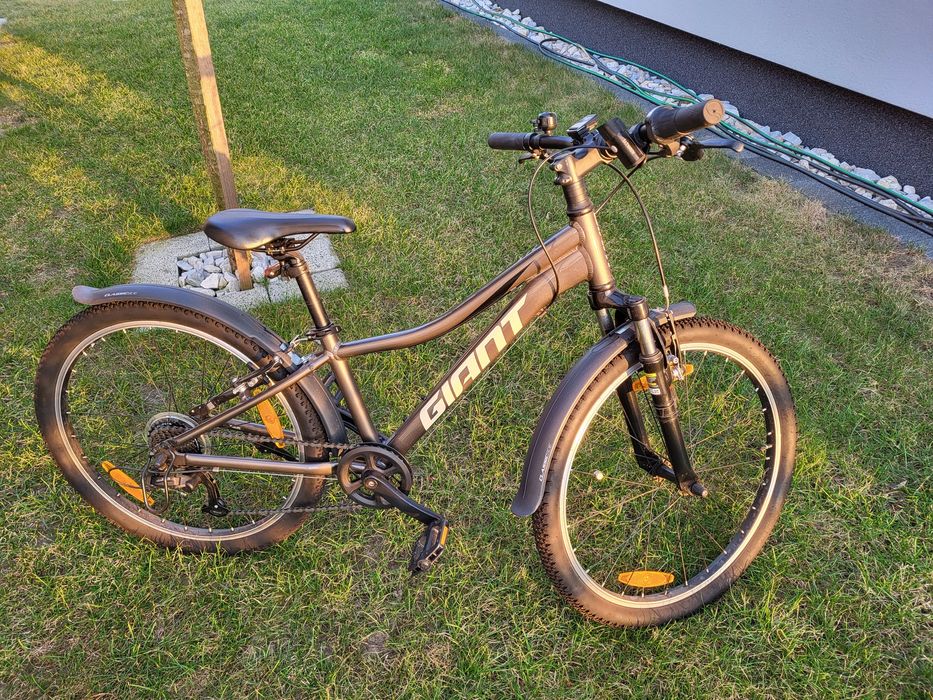 Giant 24" przód teleskopy