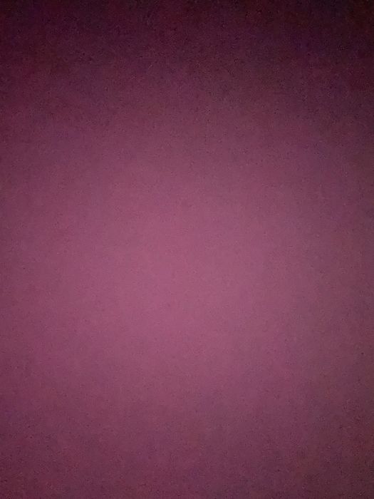 Rower elektryczno  hercules Bosch