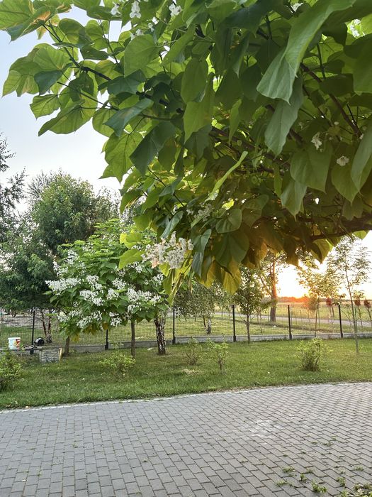 Działka rolno budowlana wiatrak