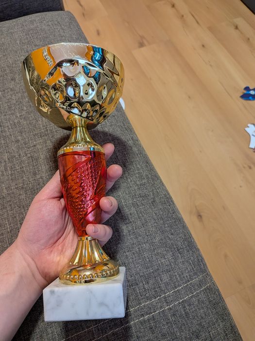 Puchar za zajęcie pierwszego miejsca