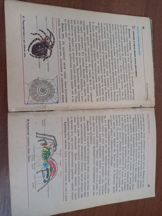 Зоология Наумова 6-7 класс учебник советский 70е-80е