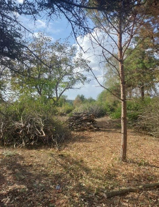 Зачистка ділянок та зріз аварійних дерев