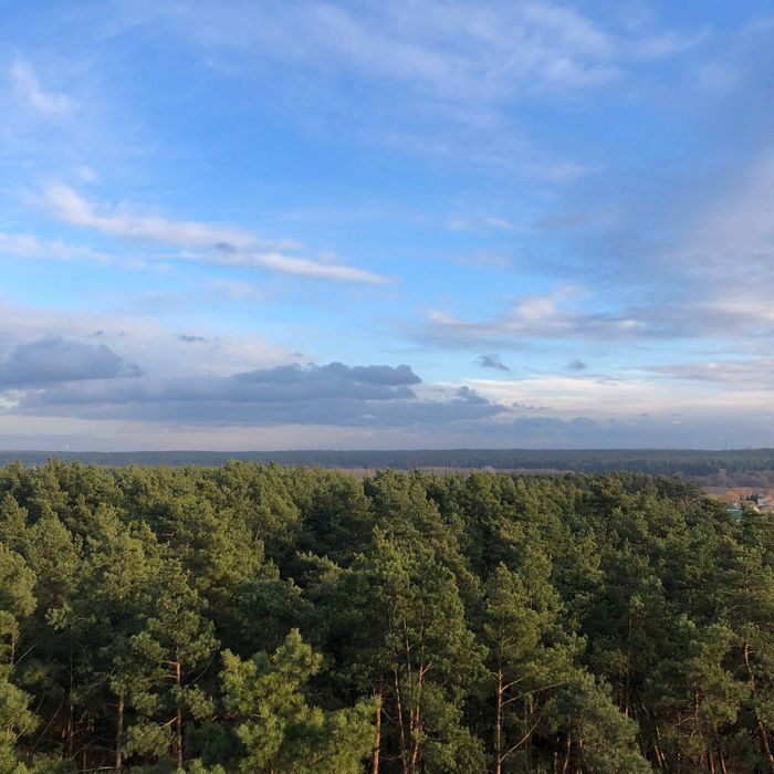 Трьохкімнатна квартра, вид на парк, дизайнерський ремонт для себе