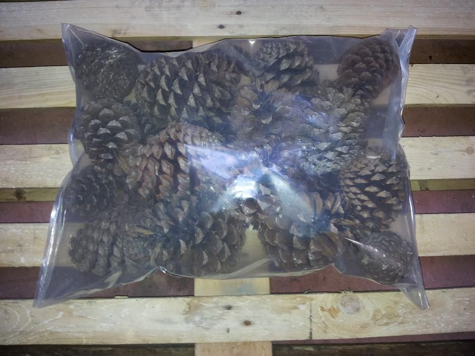 Lenha e sacos de pinhas