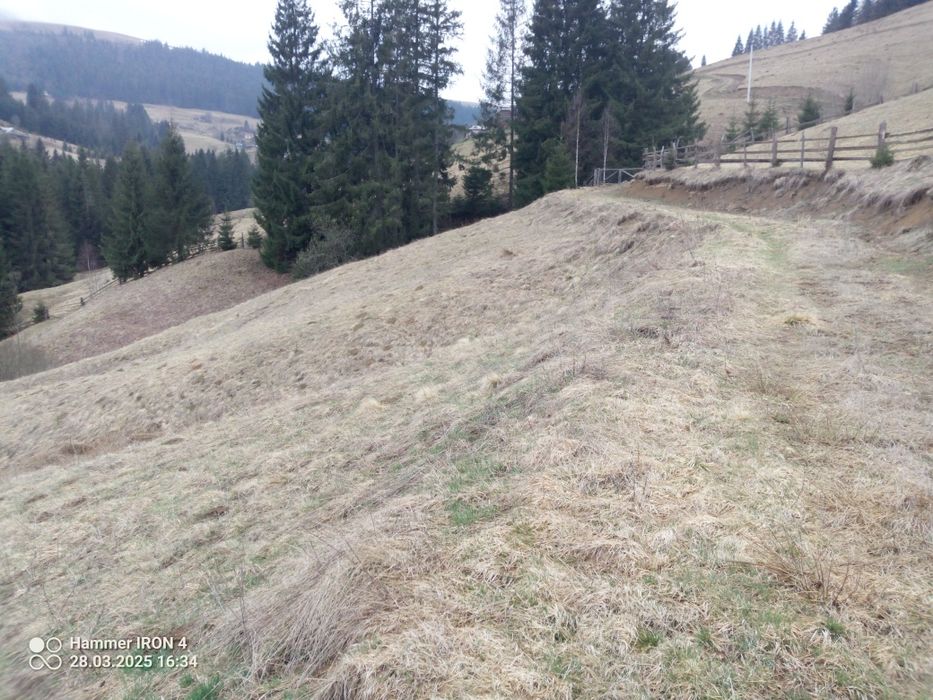 Земельна ділянка