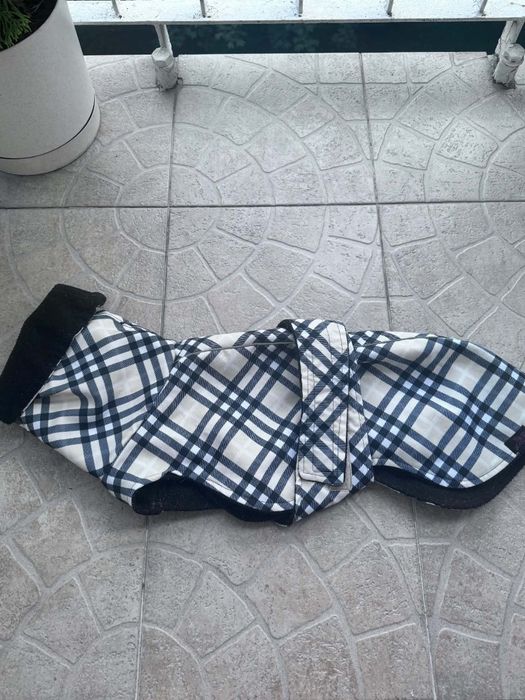 Ubranie dla whippeta na polarku