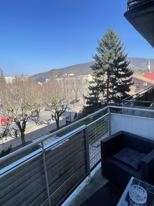 Подобова (посуточно) оренда квартири(центр, біля фонтана) вул.Миру 29.