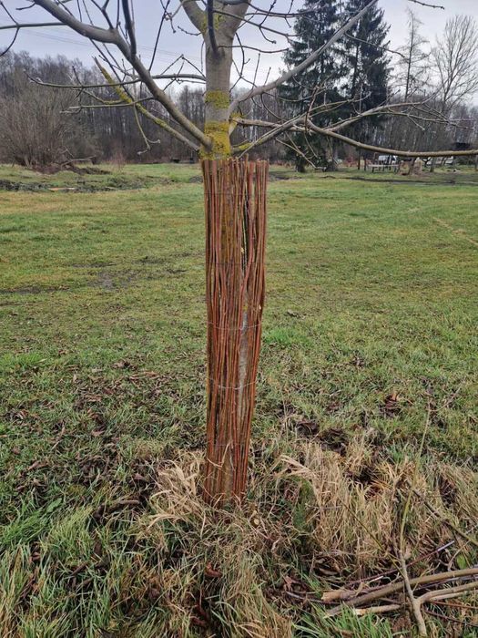 Naturalna osłona do drzewek 120cm x 50cm