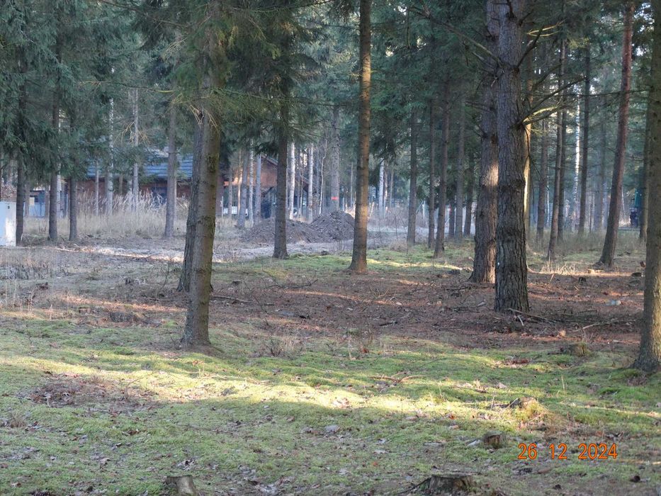 Działki budowlane, rekreacyjne Łukawska Wola - Więcej