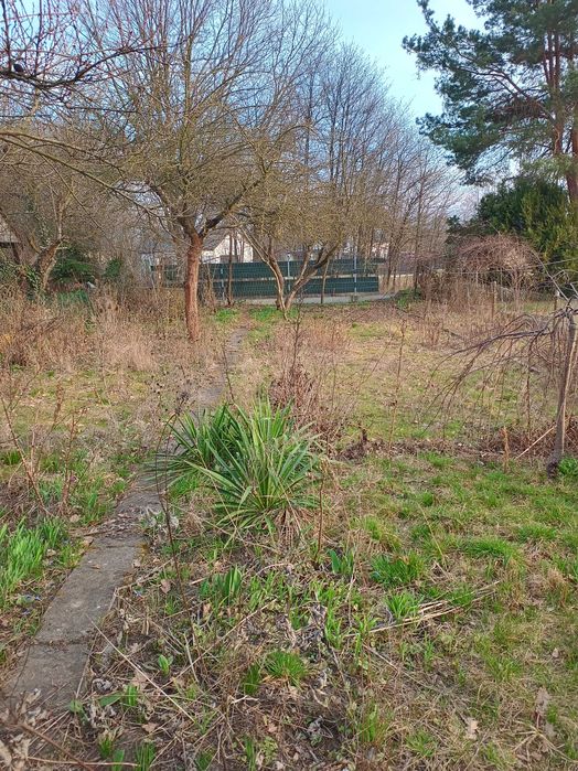 Sprzedam ogródek działkowy ROD 300 m² Grodzisk Maz.  na terenie ROD " Mazowiecki Sad " ul. Bałtycka. - View 3