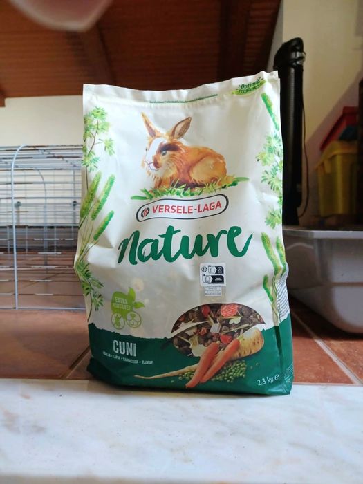 Coelhinho anão castrado + gaiola e acessórios