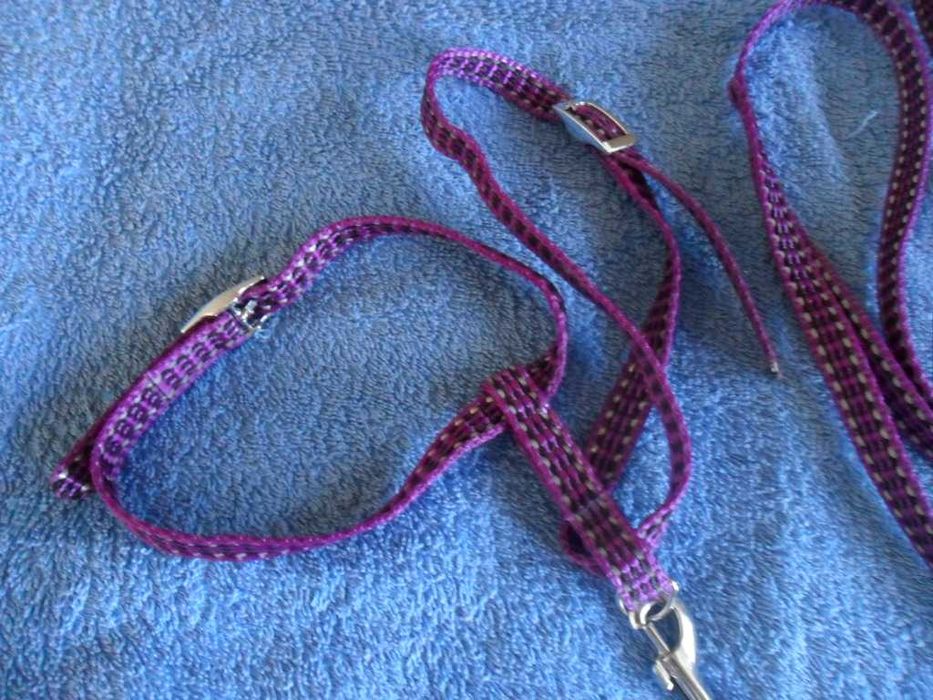 Шлейка-поводок для маленьких и средних животных - продам