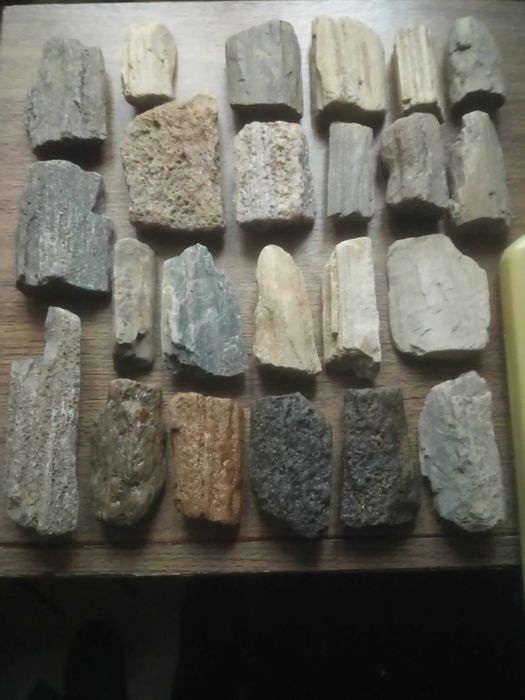 Продам фрагменты окаменелого дерева одним лотом