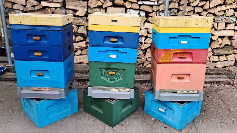 Ule wielkopolskie, miodarka, pasieka