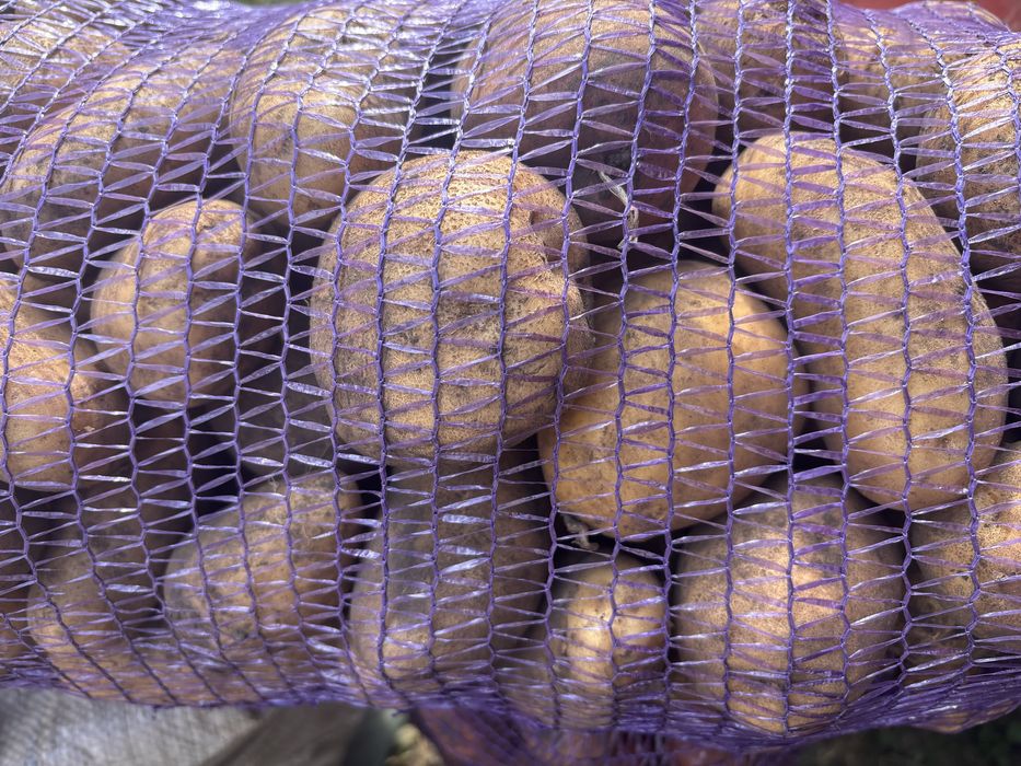 Продам їстівну картошку