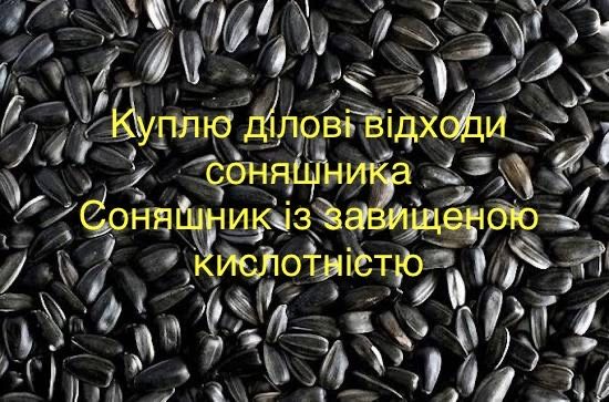 Куплю відходи соняшника, некондицію