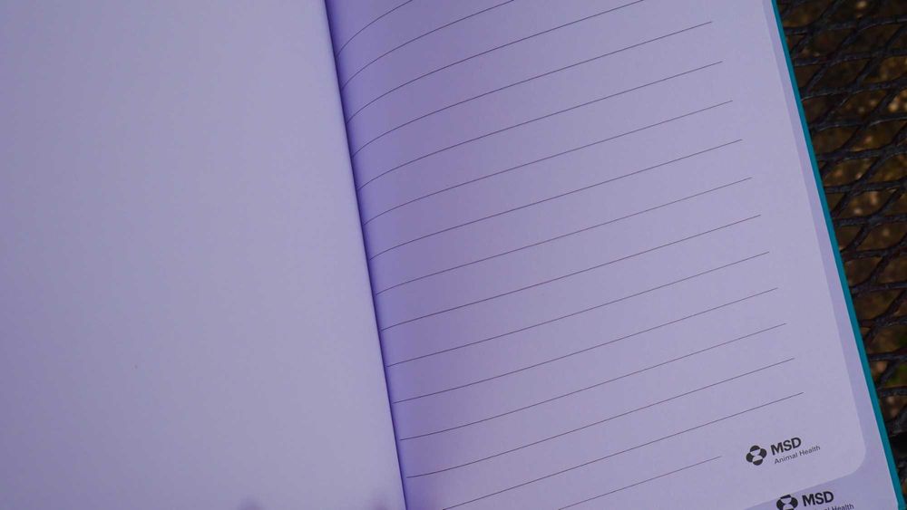 Cadernos Cães & Buenos Aires / Notebooks