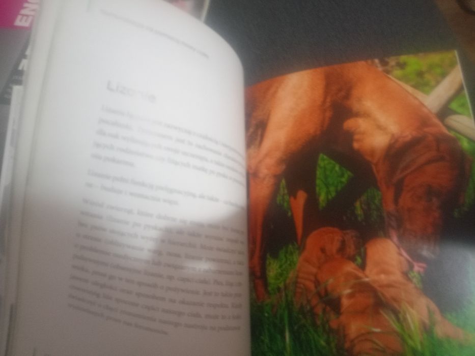 Książka jak rozmawiać z psem