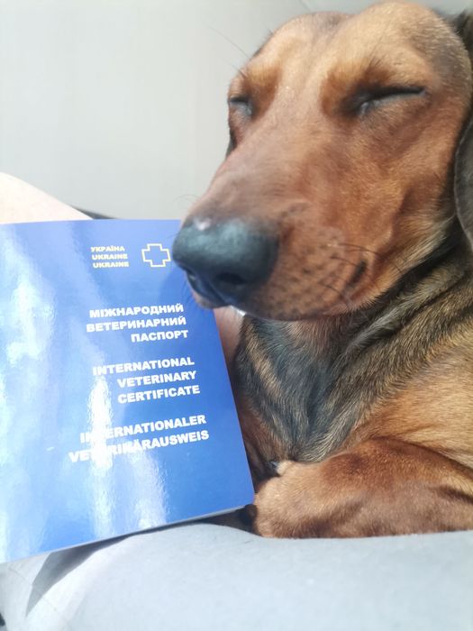 Кабель для вязки