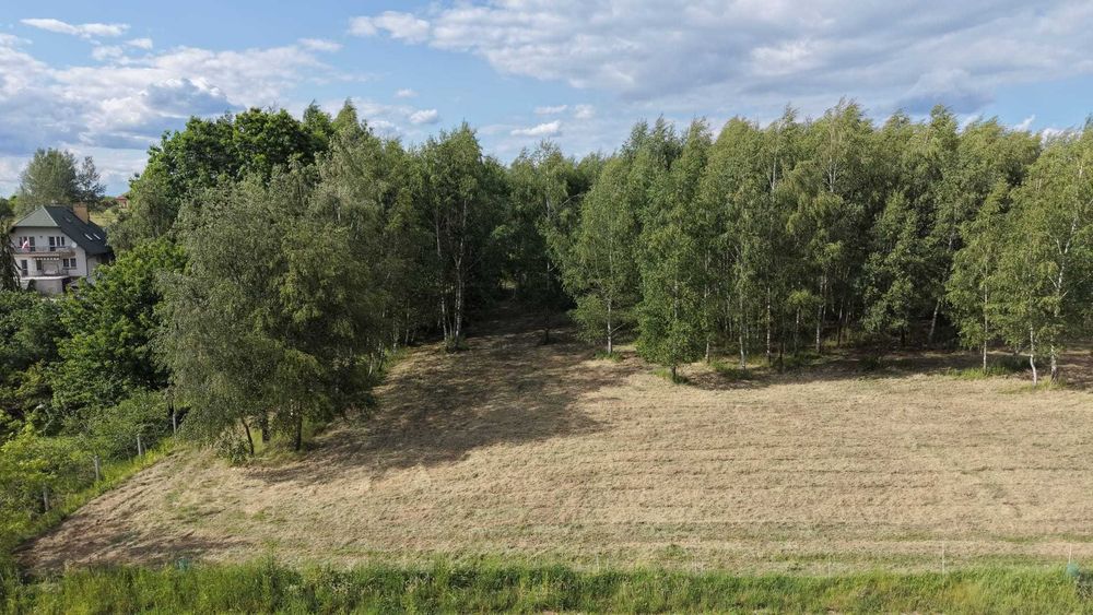 Dzialka 30ar  Olchowa