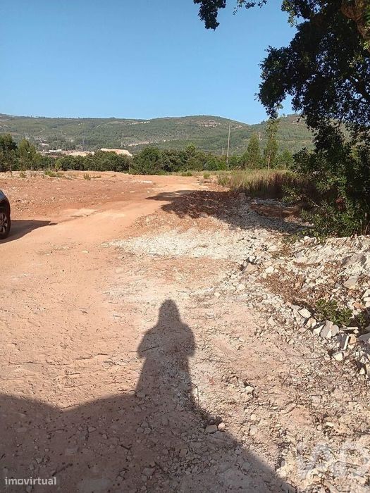 Terreno Agrícola em Évora de Alcobaça de 9770,00 m2
