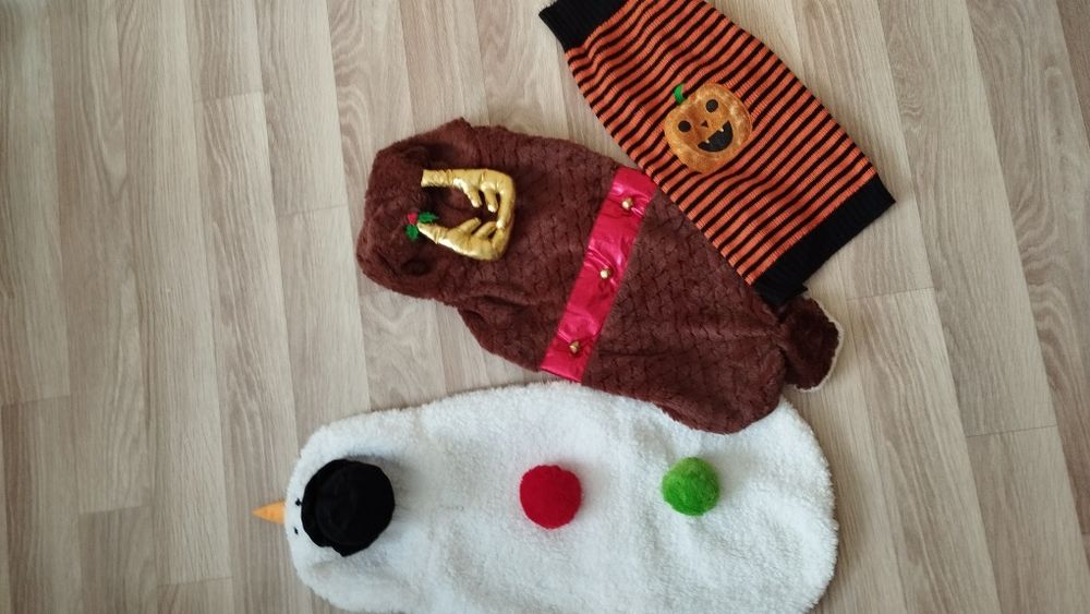 Одяг для собачок