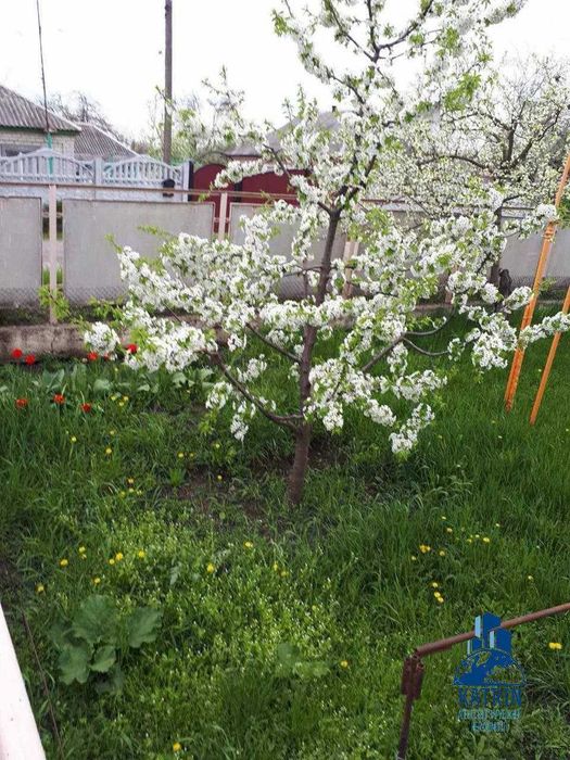 Продам будинок в селищі Царичанка