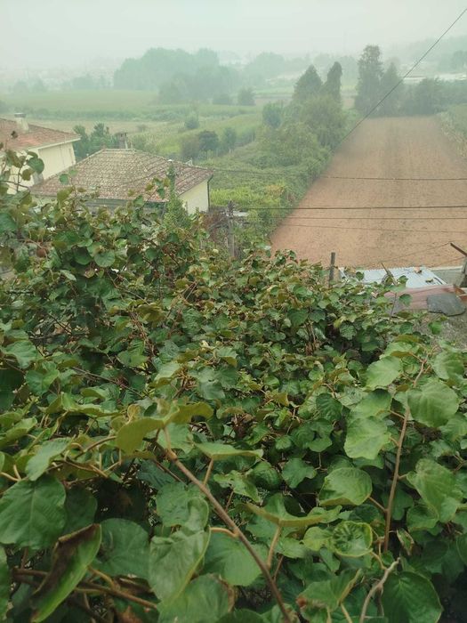 Moradia com 2 andares