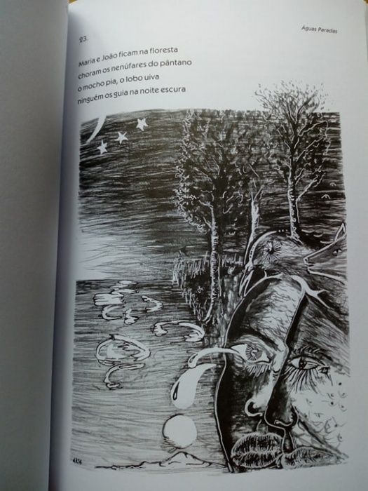Águas Paradas (NOVO)