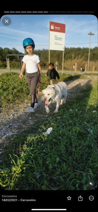 Pet sitter/ cuidadora de animais