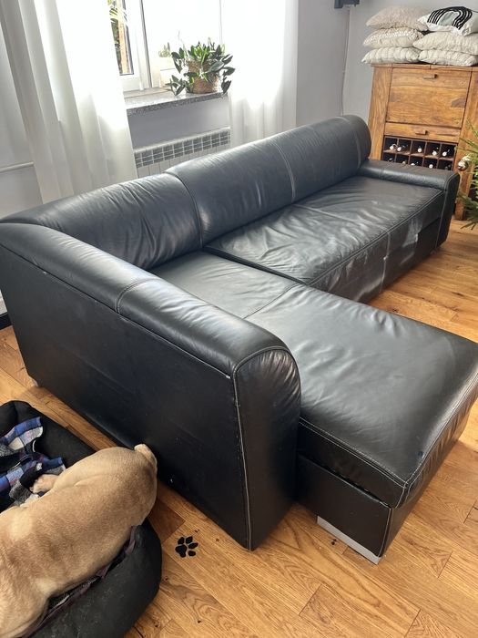 Rogowka skora naturalna