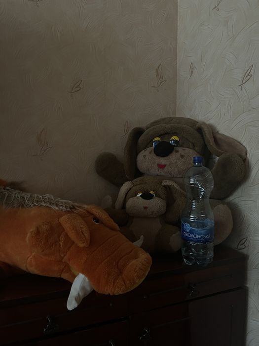 Мʼякі іграшки даром