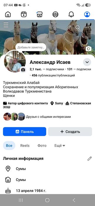 Кобель 8 мес. Туркменского волкодава.