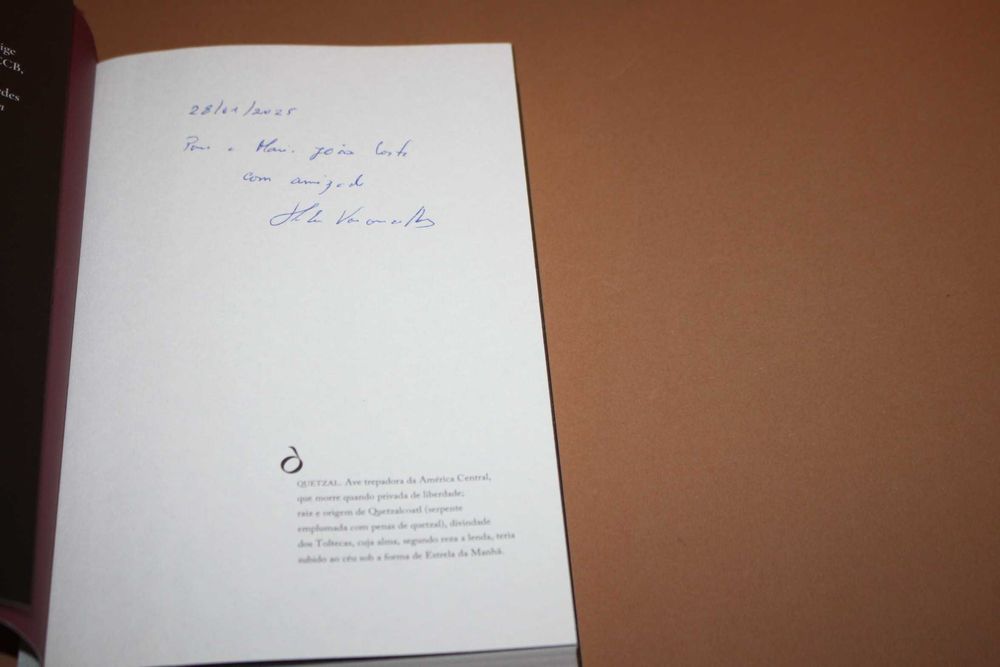 O Que Está para Vir// Helena Vasconcelos