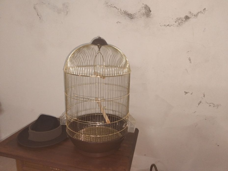 Material de pésca e de cultura