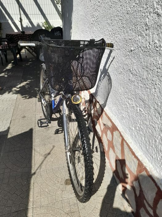 Bicicleta de senhora