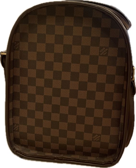 Torebka dla psa louis vuitton