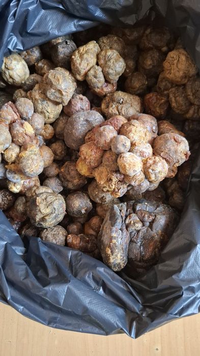 Прополіс зі  своеї. пасіки -  1 кг